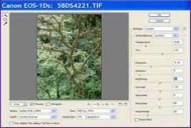 Adobe Camera Raw 7