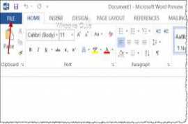 Microsoft Office 2013