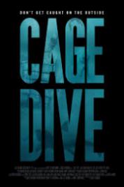 Cage Dive 2017